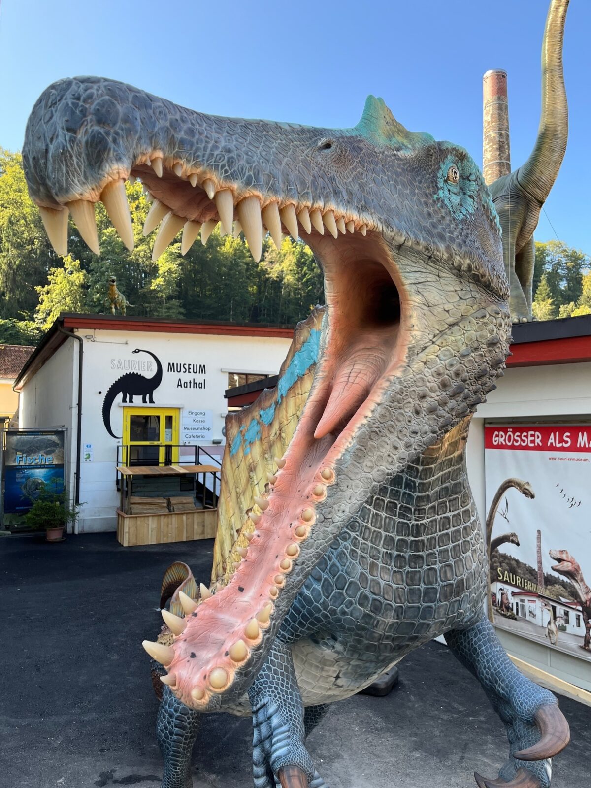 Aathal, Sauriermuseum