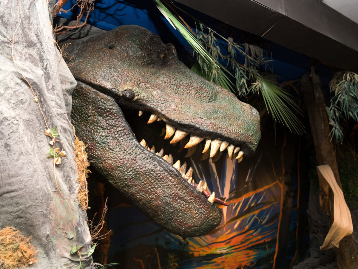 Aathal, Sauriermuseum