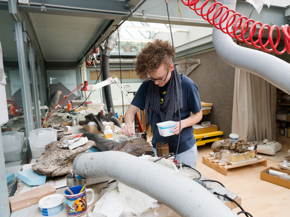 Aathal, Sauriermuseum