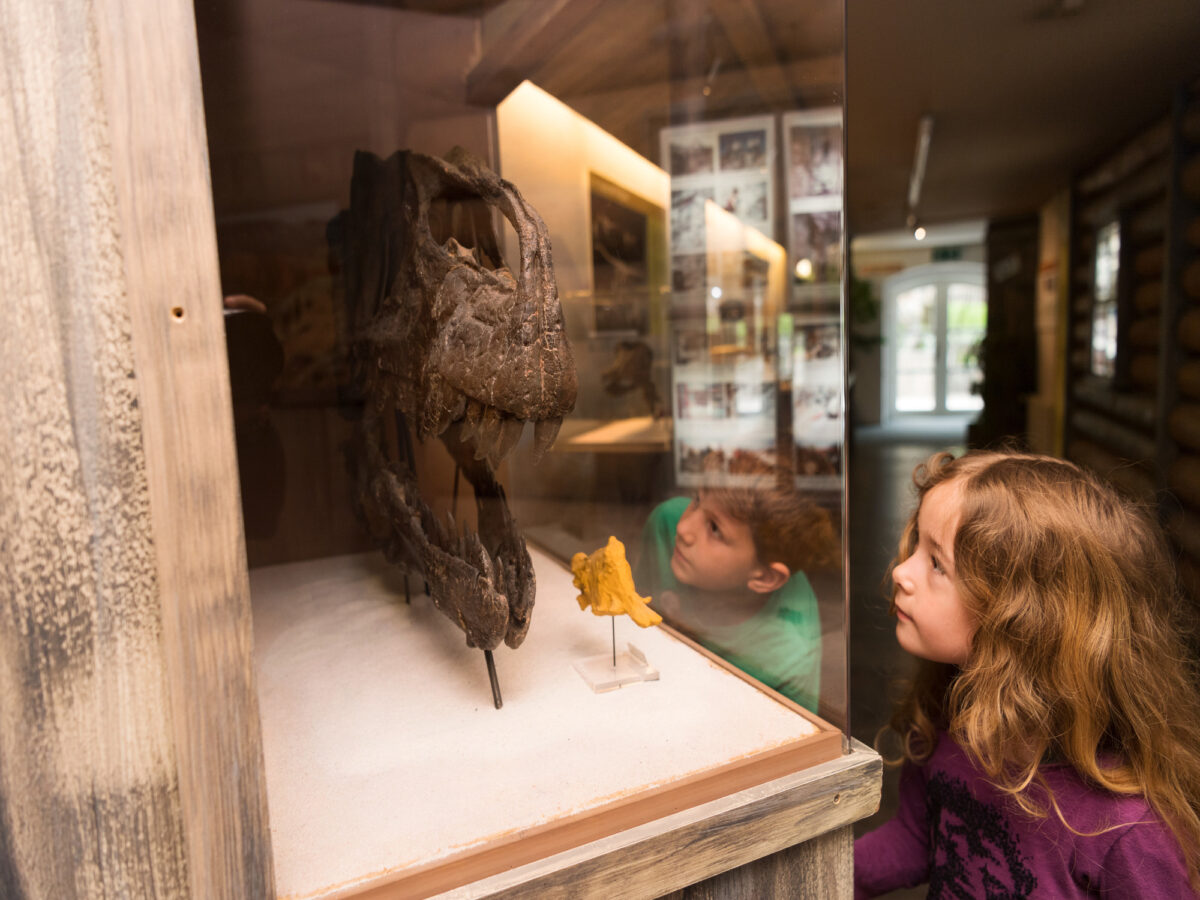 Aathal, Sauriermuseum