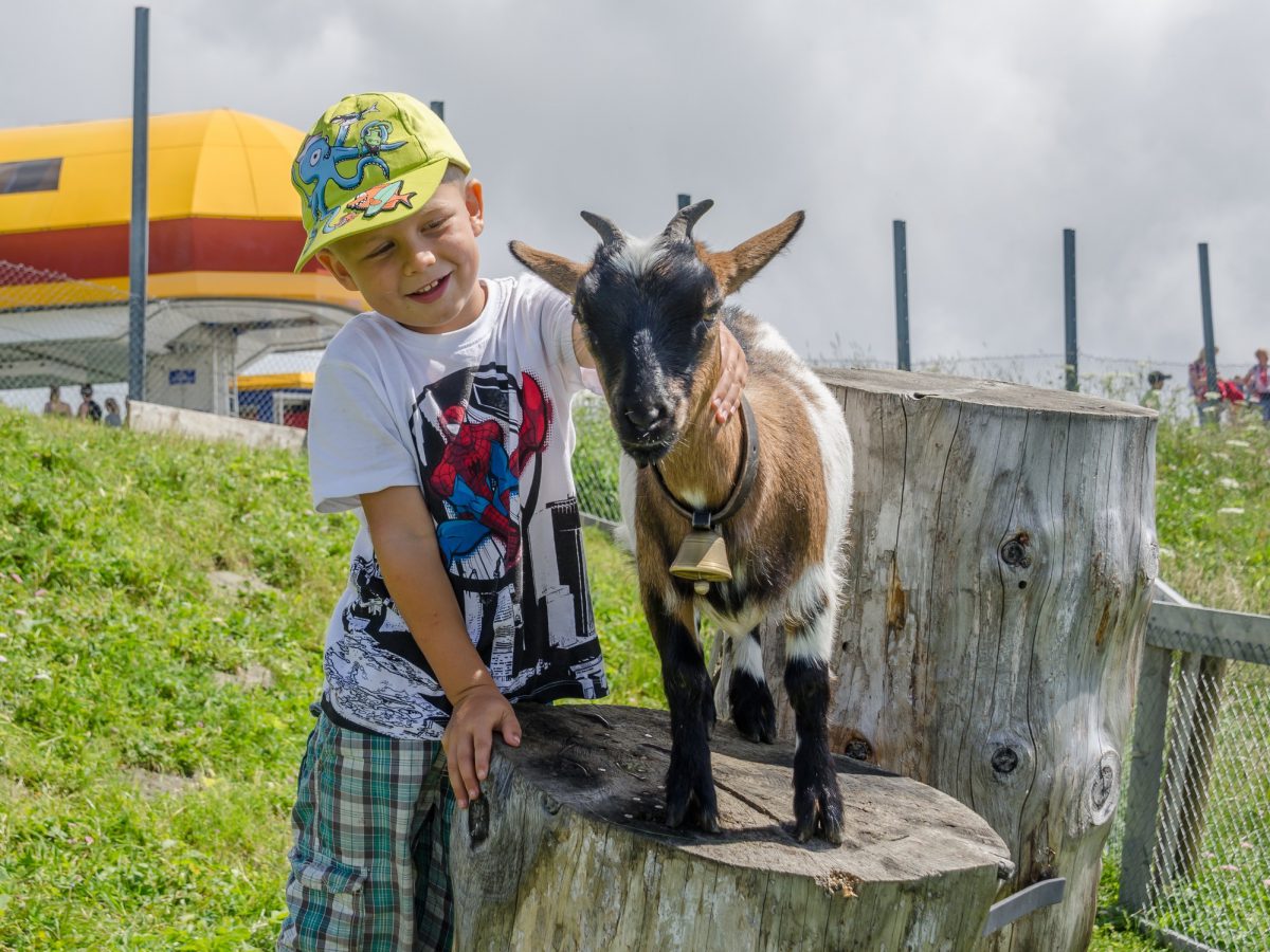Stoos, Restaurant Fronalpstock
