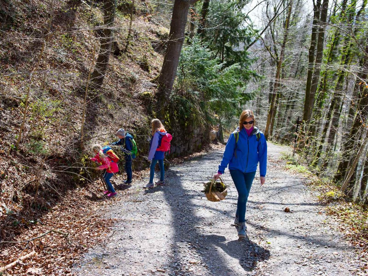 Zürich, Sihlwald Wildnispark