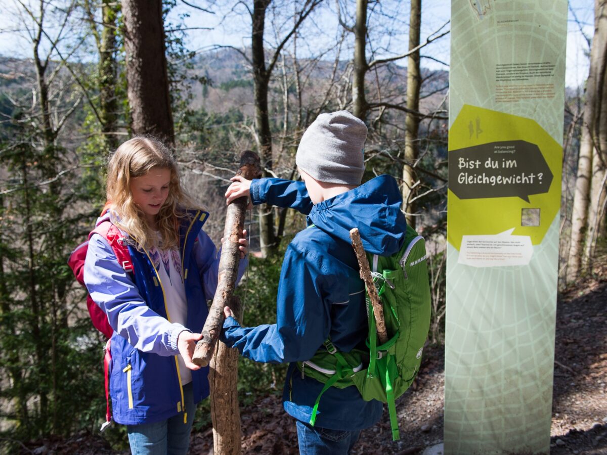 Wildnispark, Sihlwald