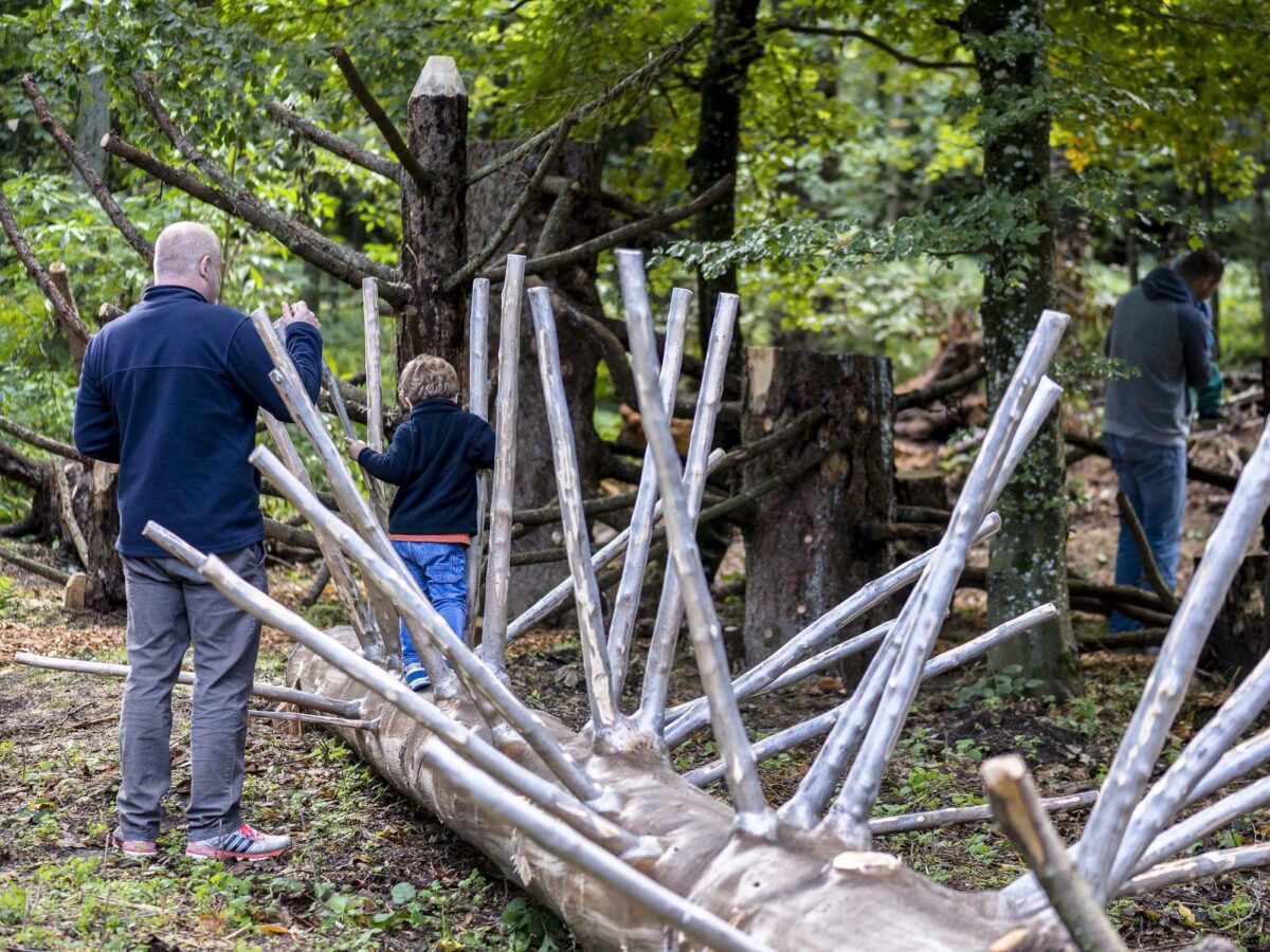 Zugerberg, Zugiblubbi