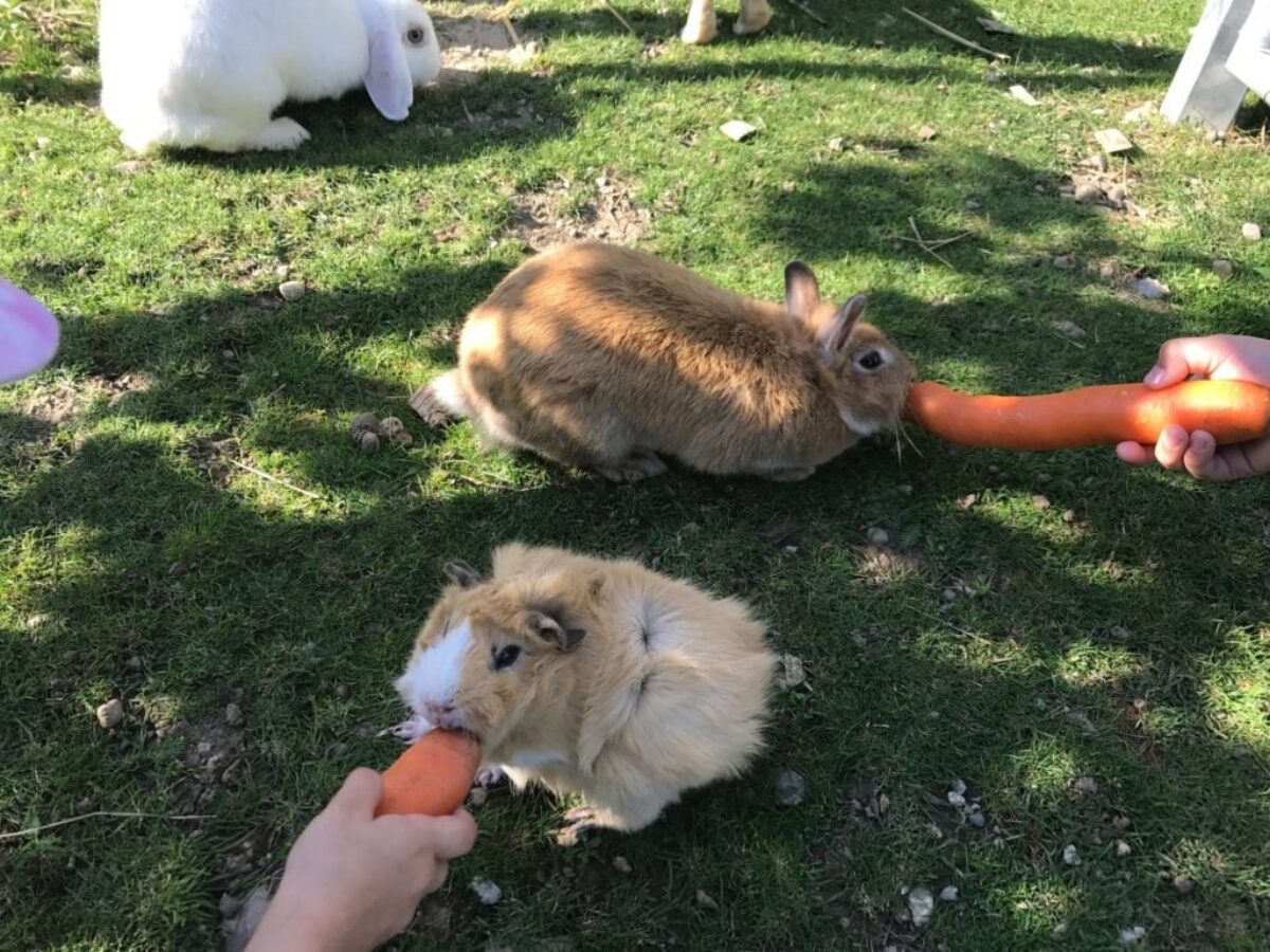 Zürich, Wirtschaft Alter Tobelhof