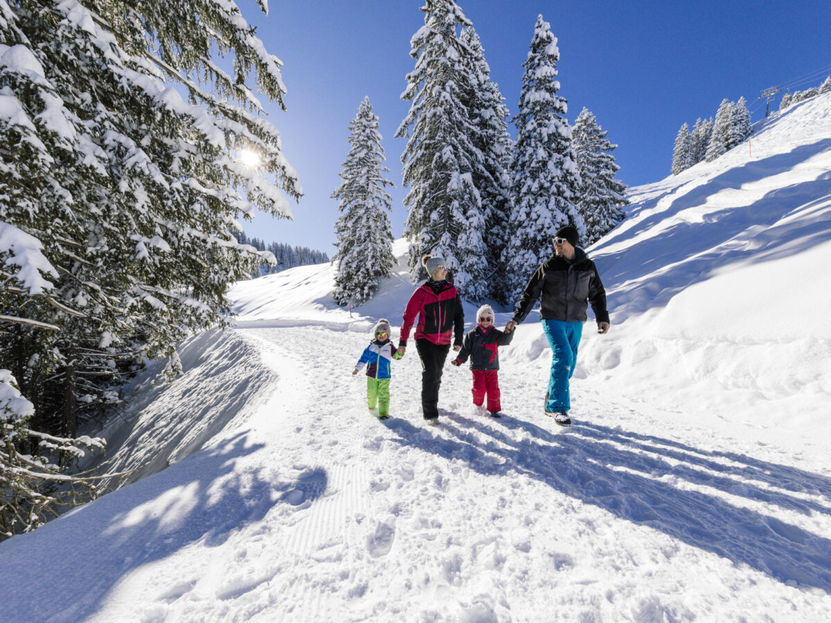 Hoch-Ybrig, Winterwandern, Winter