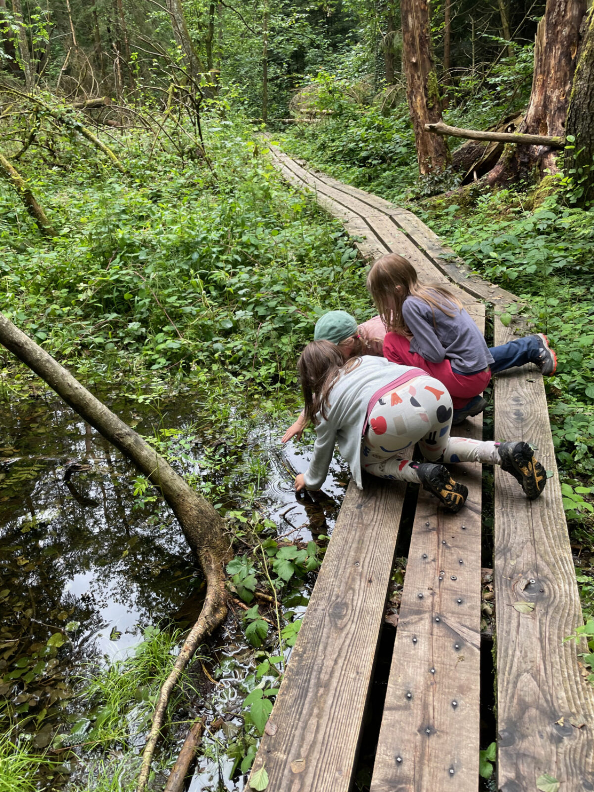 Sihlwald, Walderlebnispfad