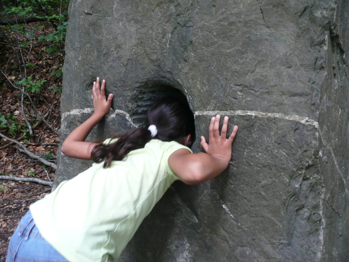 Sihlwald, Walderlebnispfad