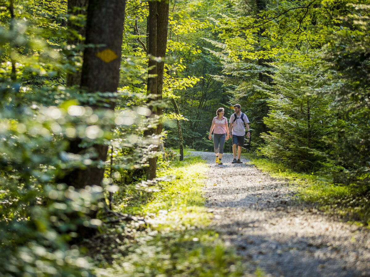 Zürich, Pfannenstiel Weg