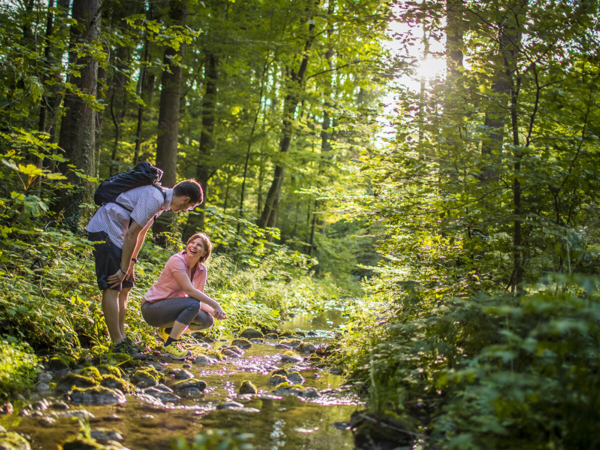 Zürich, Pfannenstiel Weg