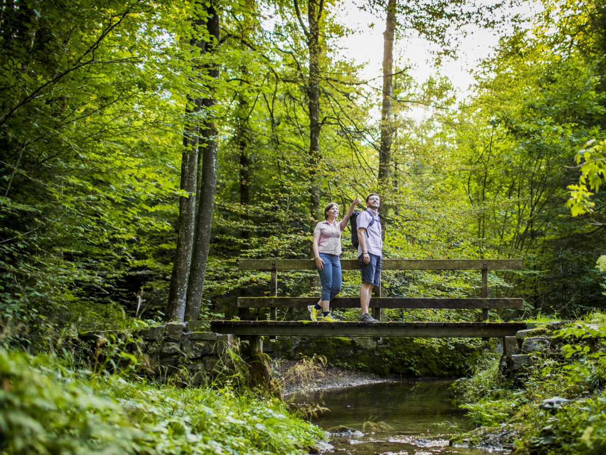 Zürich, Pfannenstiel Weg