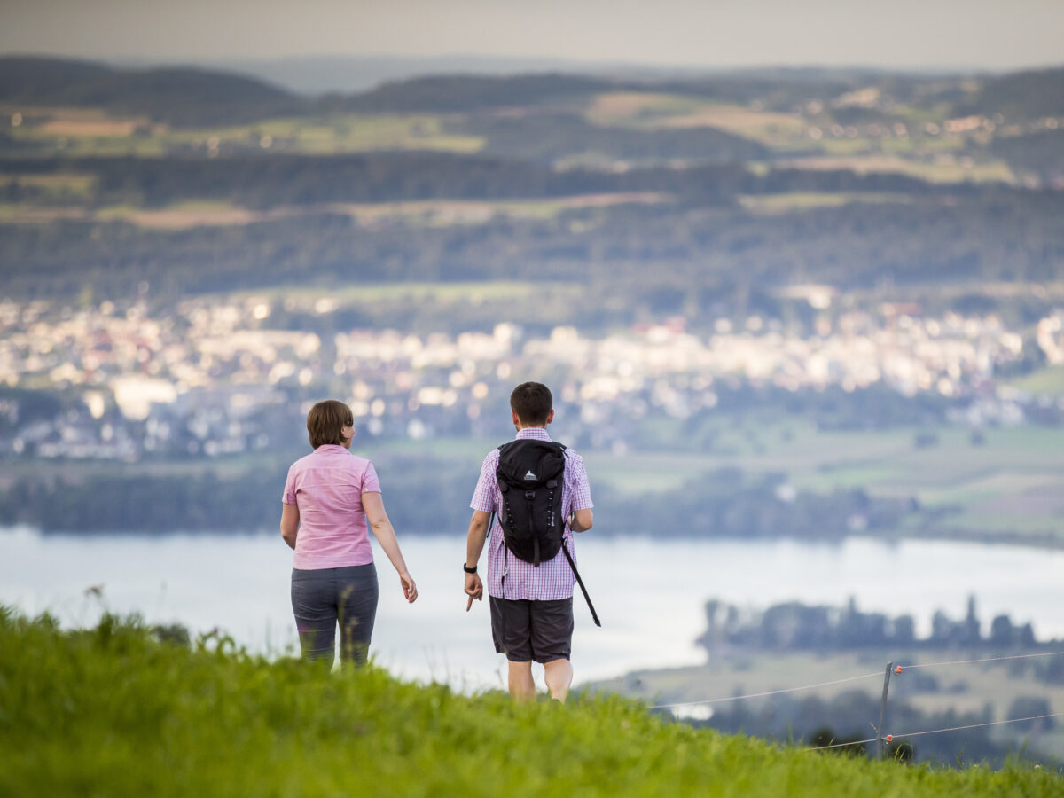 Zürich, Pfannenstiel Weg