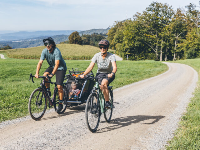 Zürich, Fahrrad, Velotour
