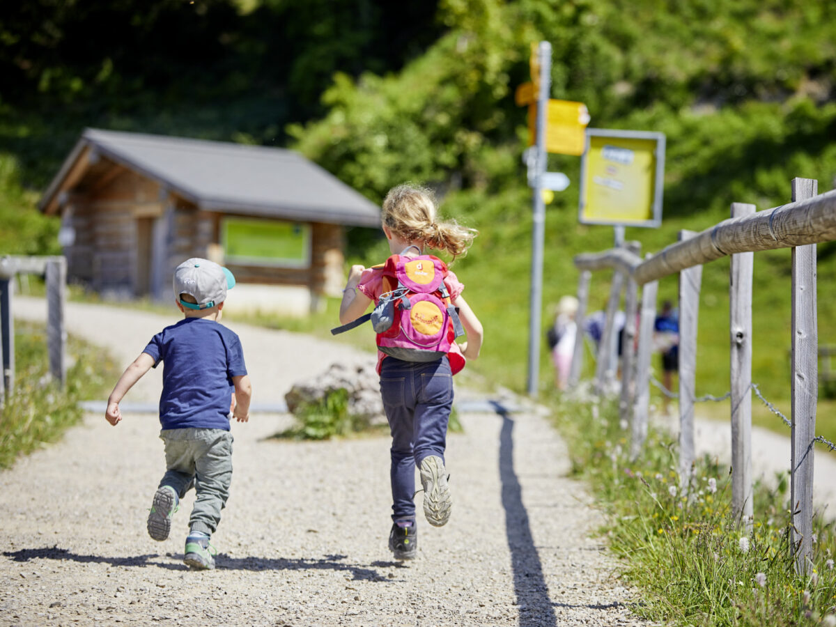 Rigi, Panoramaweg, Wandern