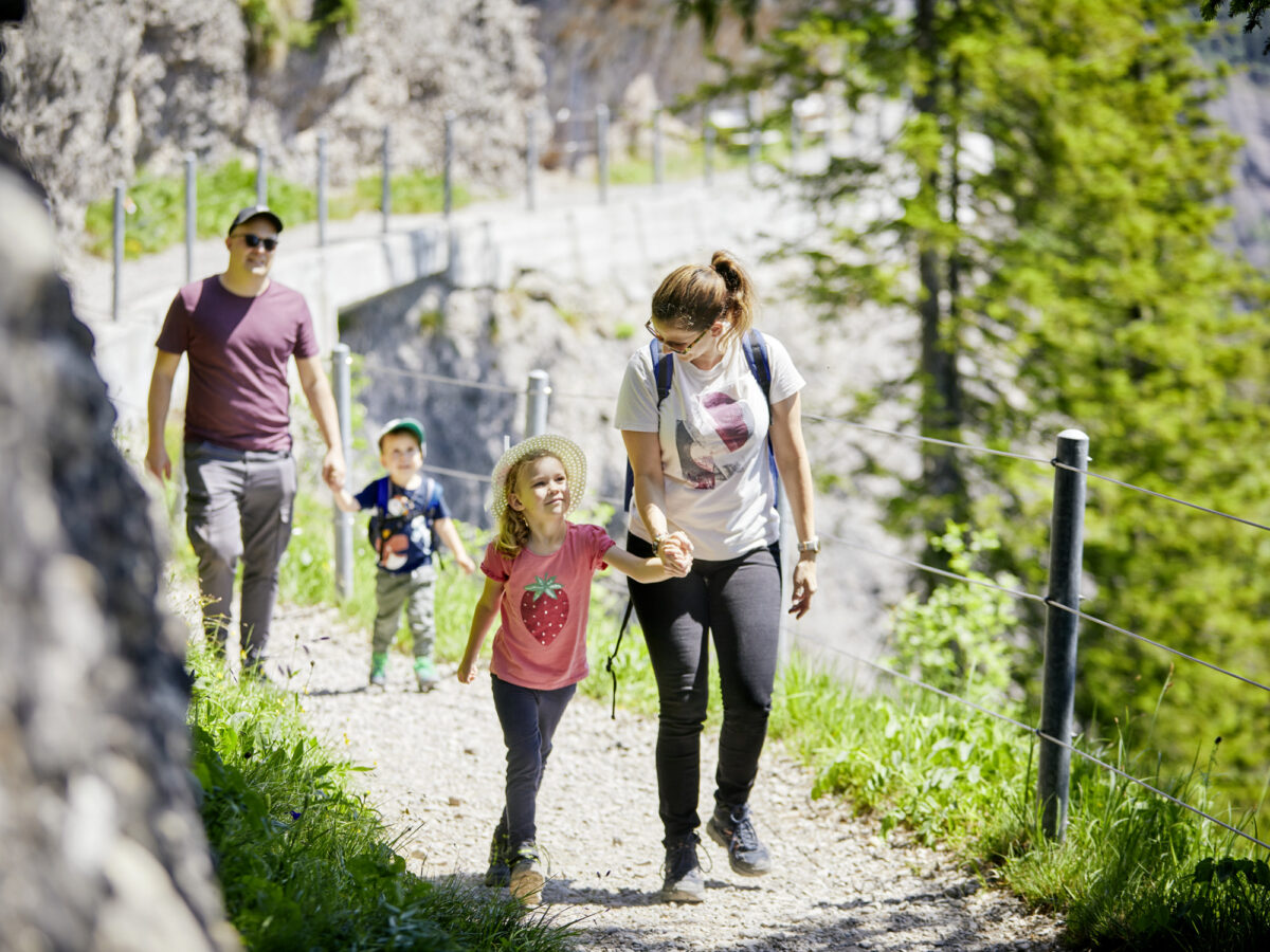 Rigi, Panoramaweg, Wandern