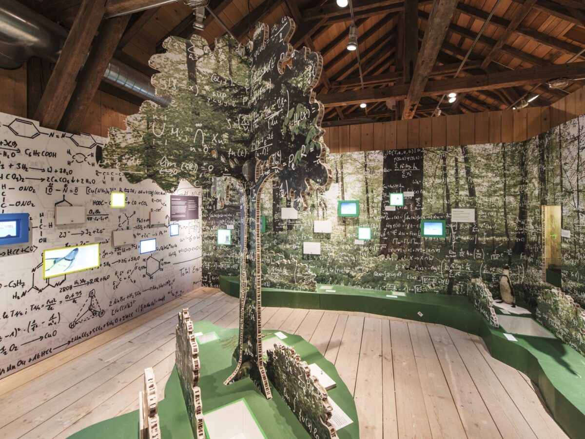 Wildnispark, Sihlwald