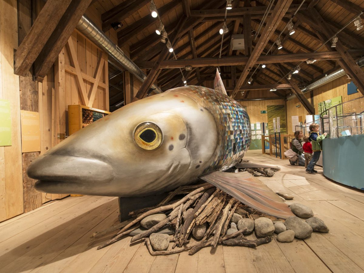 Zürich, Sihlwald Wildnispark