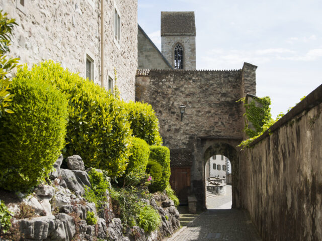 Rapperswil, Schloss