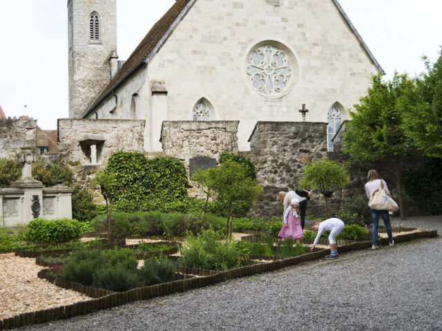 Rapperswil, Schloss