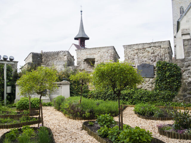 Rapperswil, Schloss