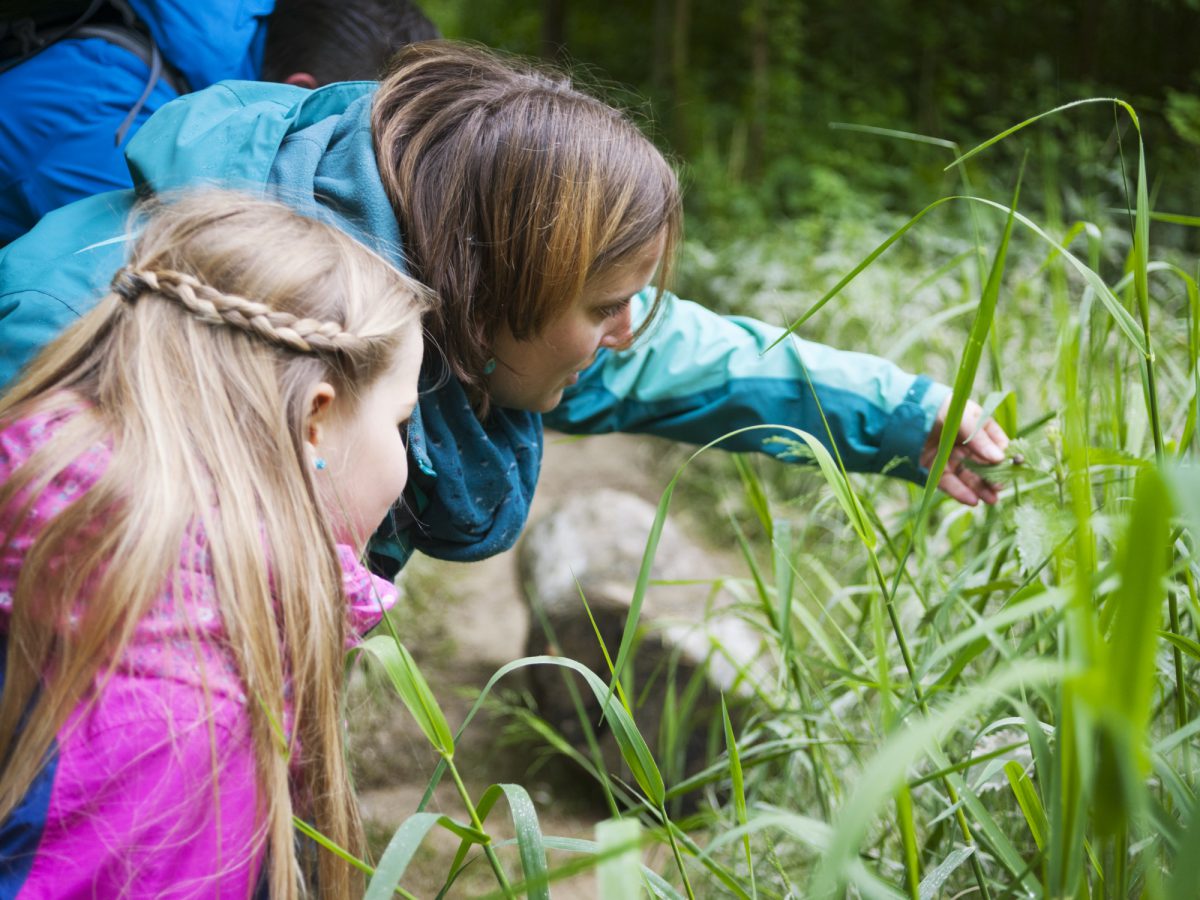 Flaach, Naturzentrum Thurauen