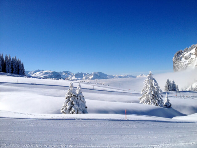 Brunni Alpthal, Holzegg