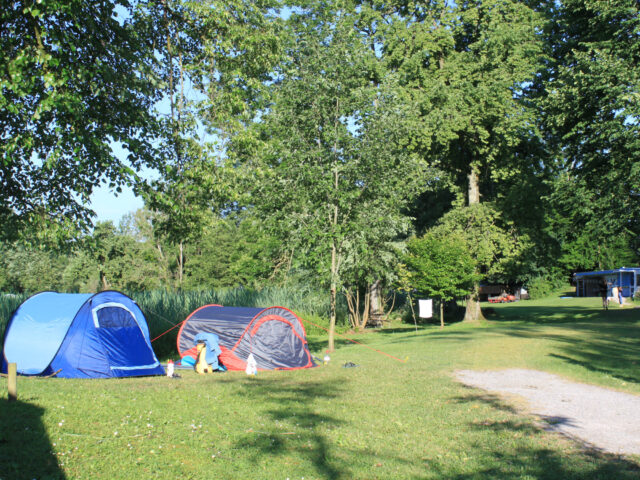 Insel Lützelau, Camping