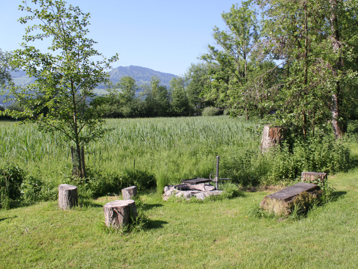 Insel Lützelau, Camping