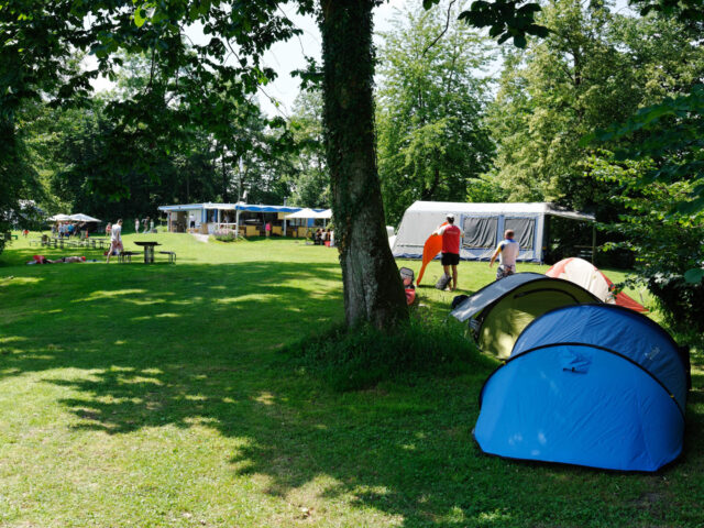 Insel Lützelau, Camping
