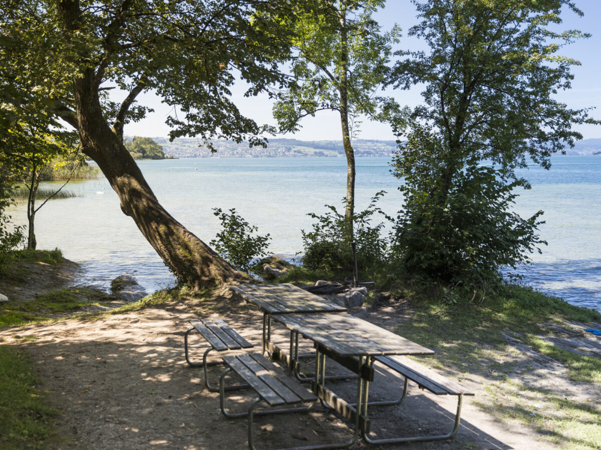 Insel Lützelau, Camping