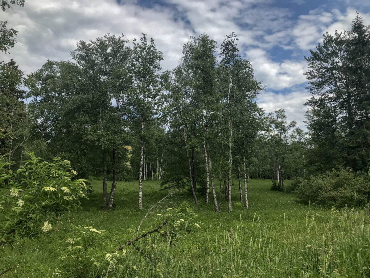 Zugerberg, Zugiblubbi