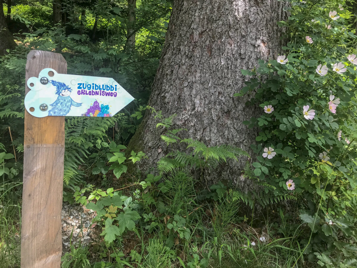 Zugerberg, Zugiblubbi