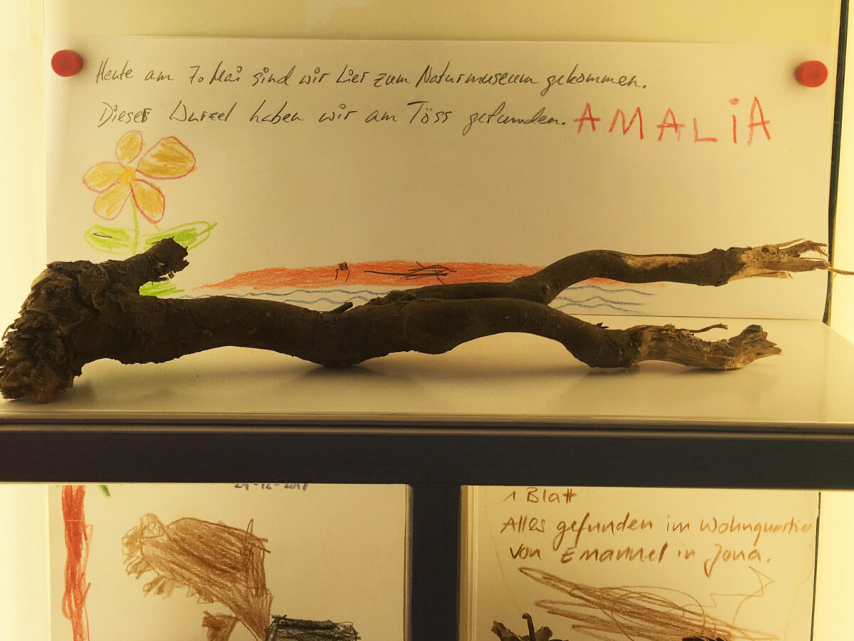 Winterthur, Naturmuseum