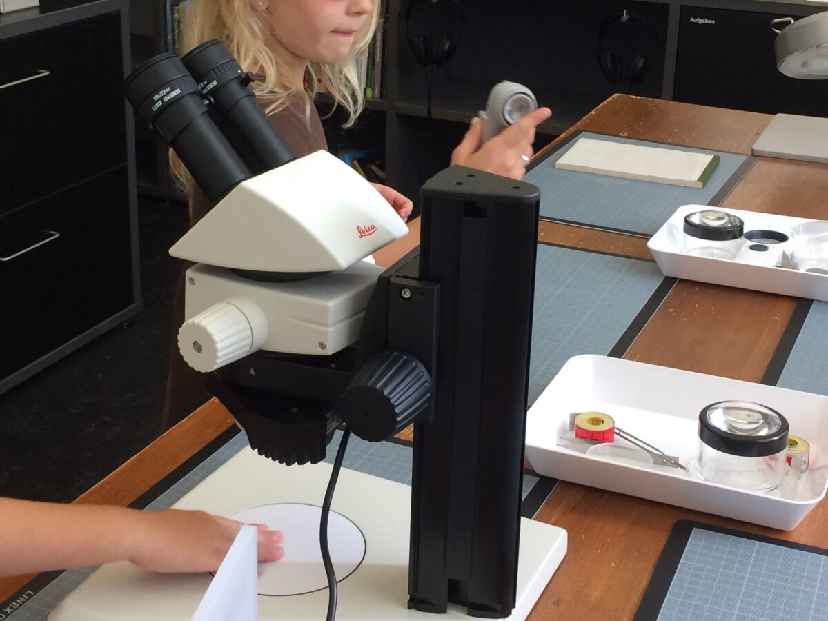 Winterthur, Naturmuseum