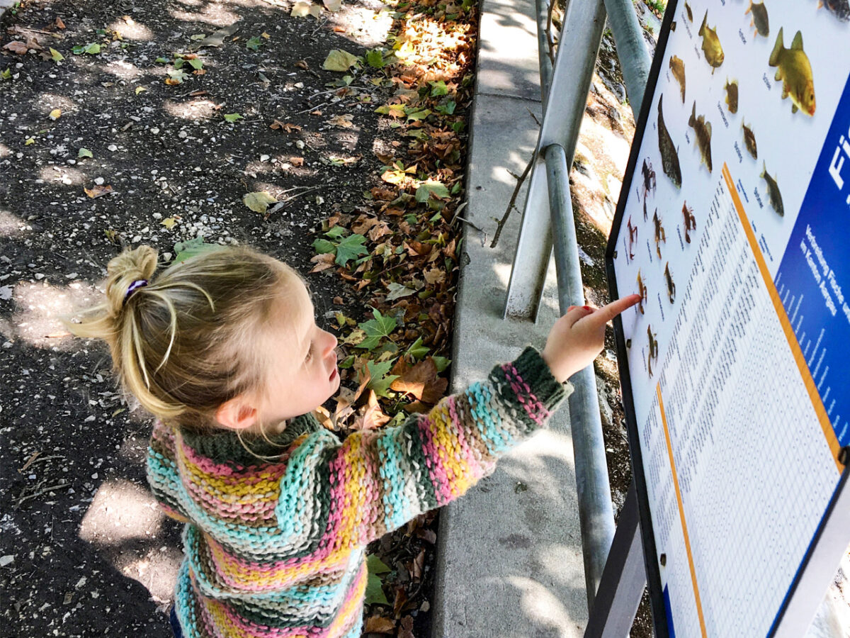 Baden, Abenteuerspaziergang