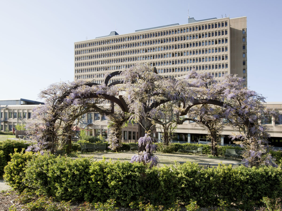 Baden, Kantonsspital, KSB