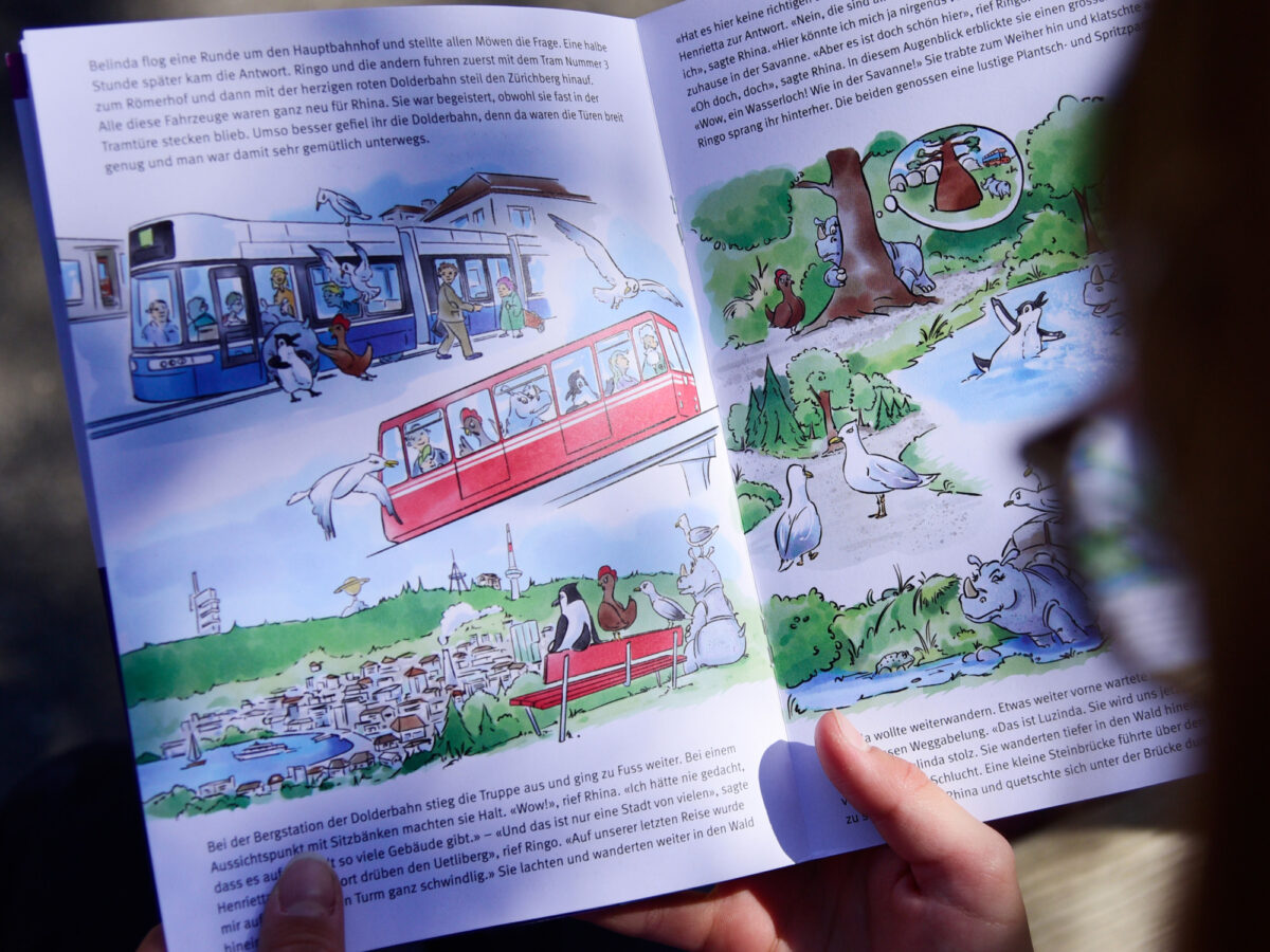 Zürich, Ringo-Reise, ZVV