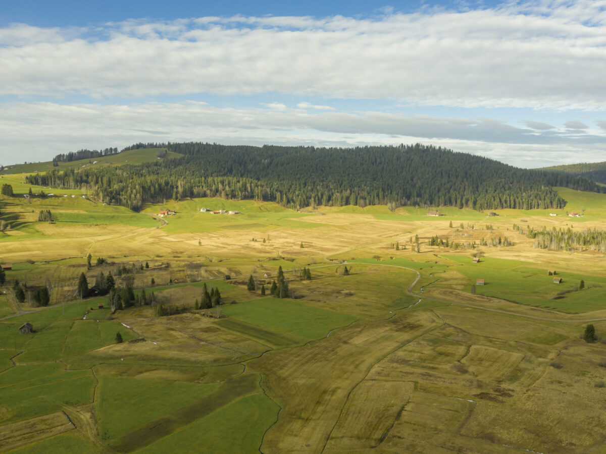 Rothenthurm, Hochmoor