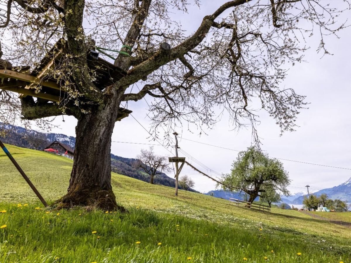 Küssnacht, Seilpark Rigi