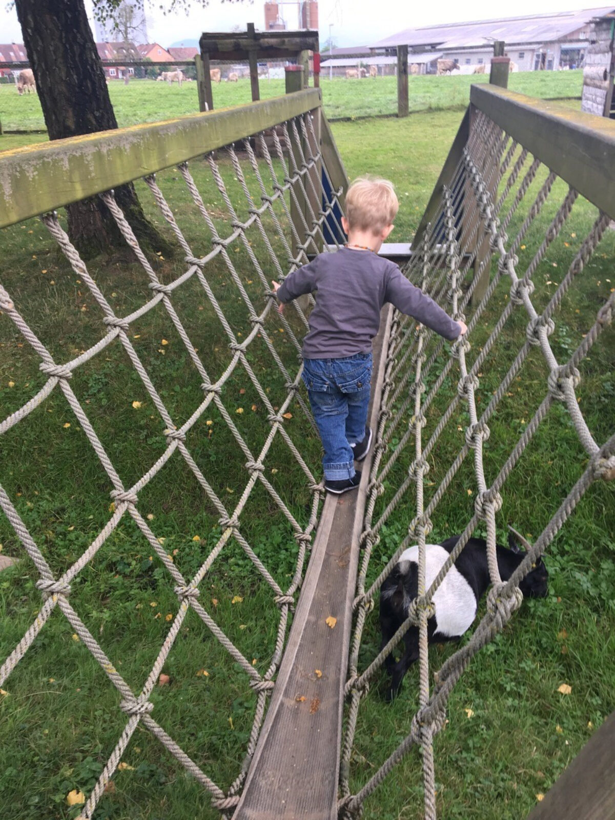 Zug, Abenteuerspielplatz Fröschi