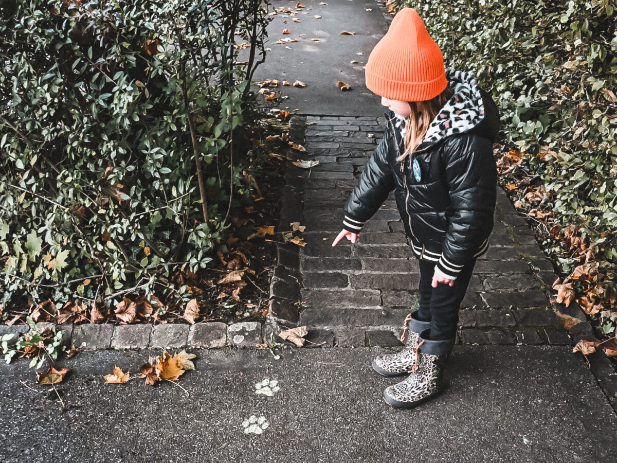 Bad Zurzach, Papa Moll-Land, Rätselweg