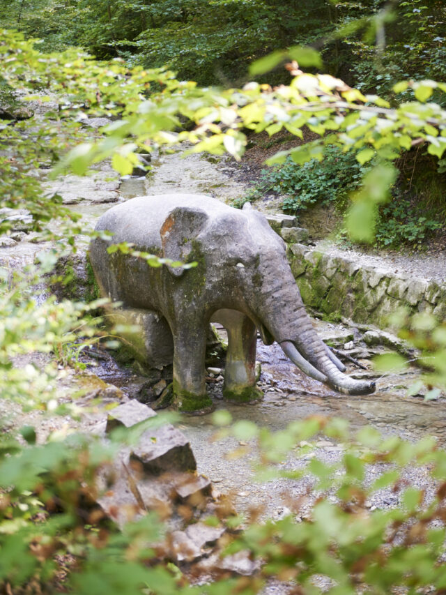 Elefantenbach Ravine, Zurich