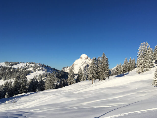 Rotenflue, Rundweg, Winterwanderung