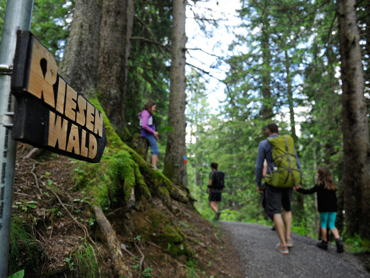 Elm, Erlebnisweg Riesenwald