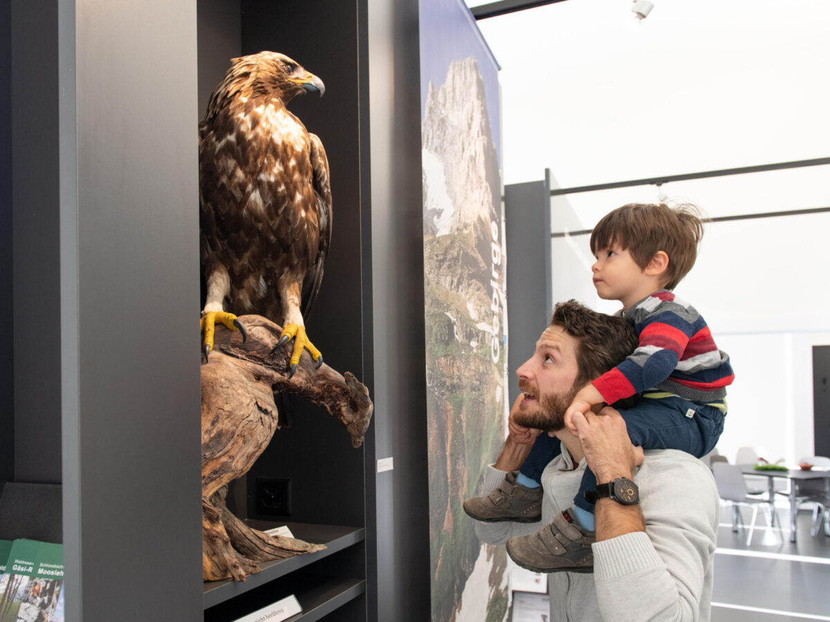 Glarus, Naturzentrum Glarnerland
