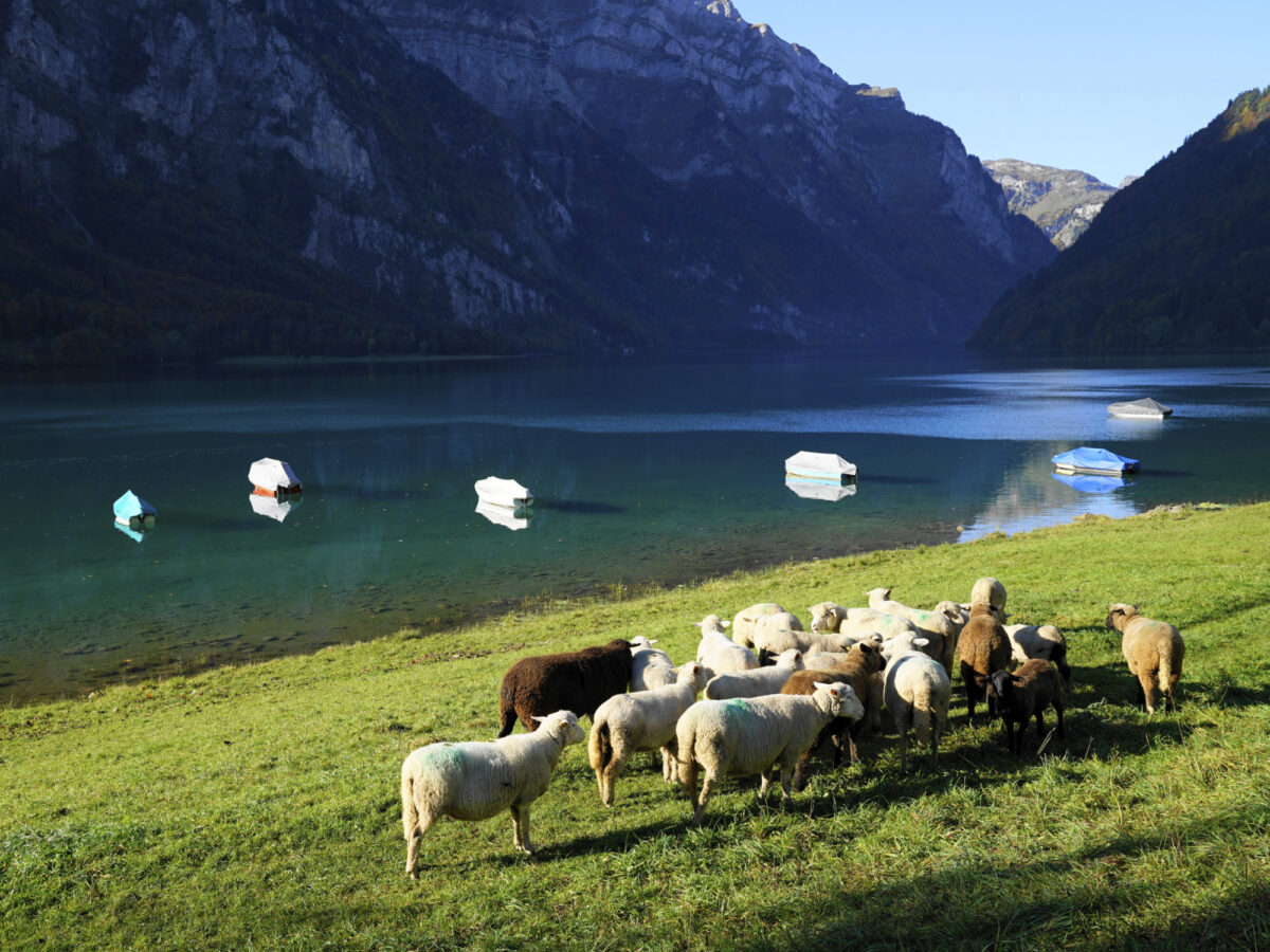Klöntal, Klöntalersee