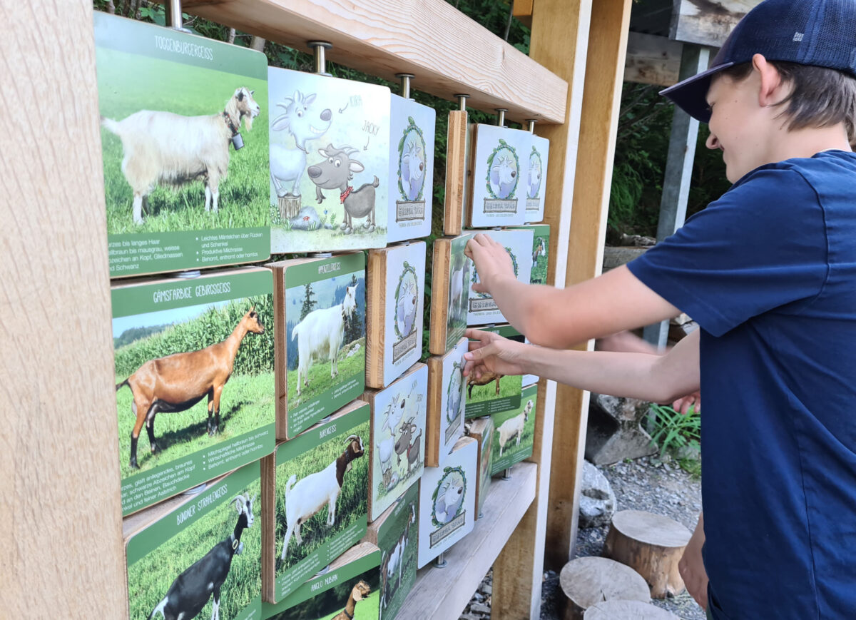 Sattel-Hochstuckli, Geissä Wäg, Blog