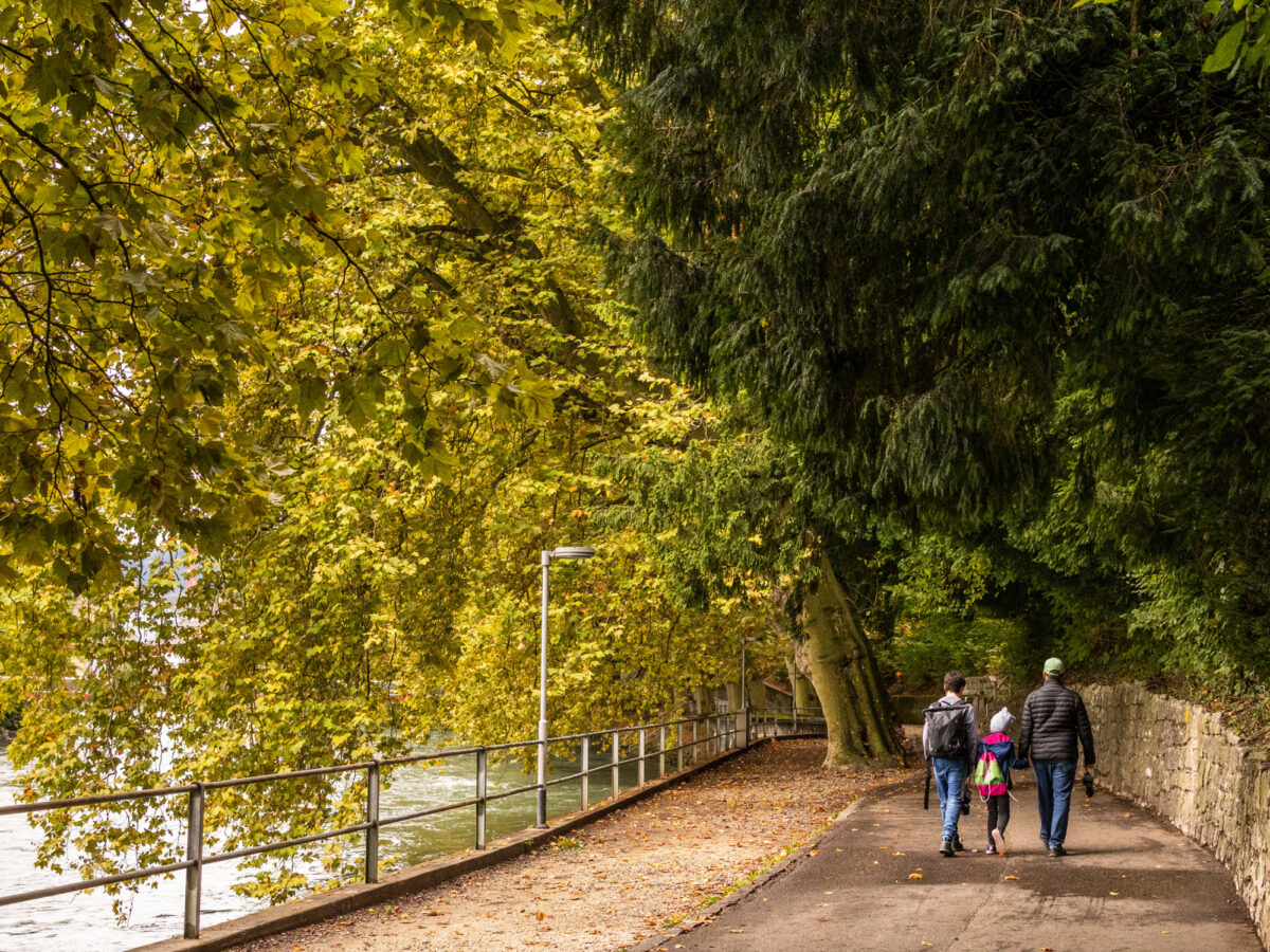 Baden, Bäderquartier, Limmatpromenade
