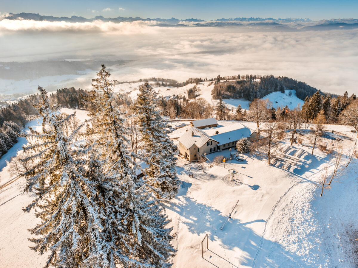 Zürich Oberland, Bachtel