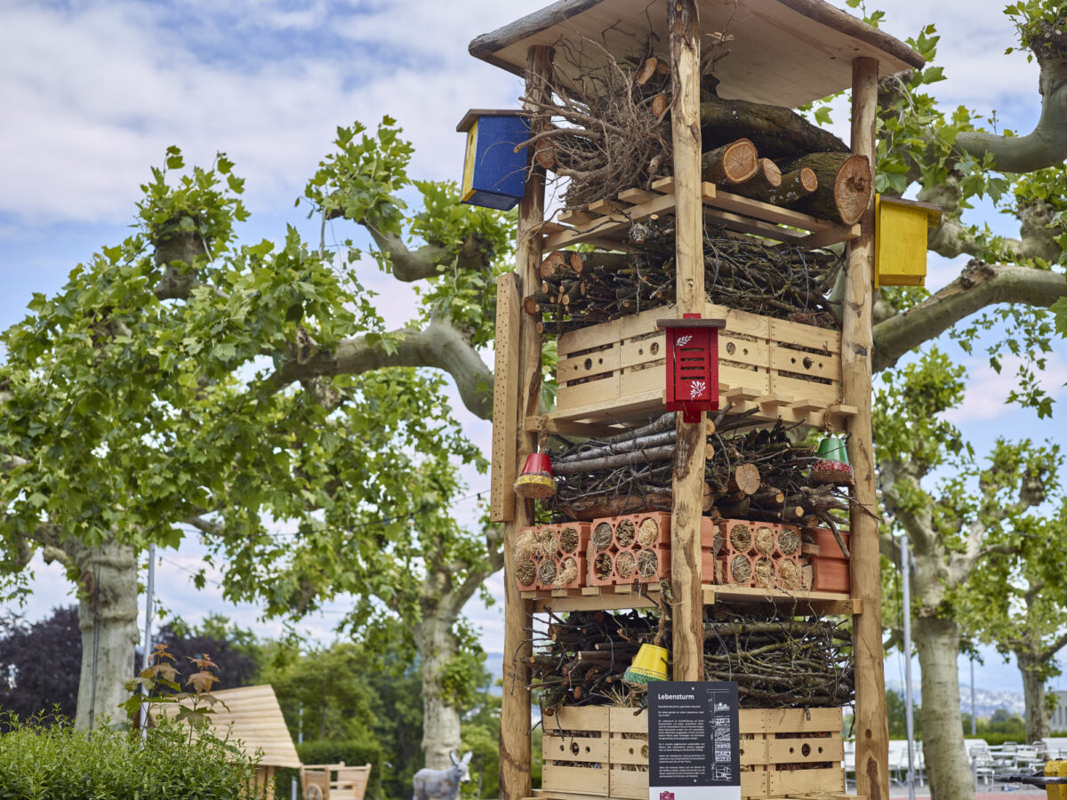 Zürich, Gasthaus Albisguetli, Spielplatz, Lebensbaum, Bienenhaus